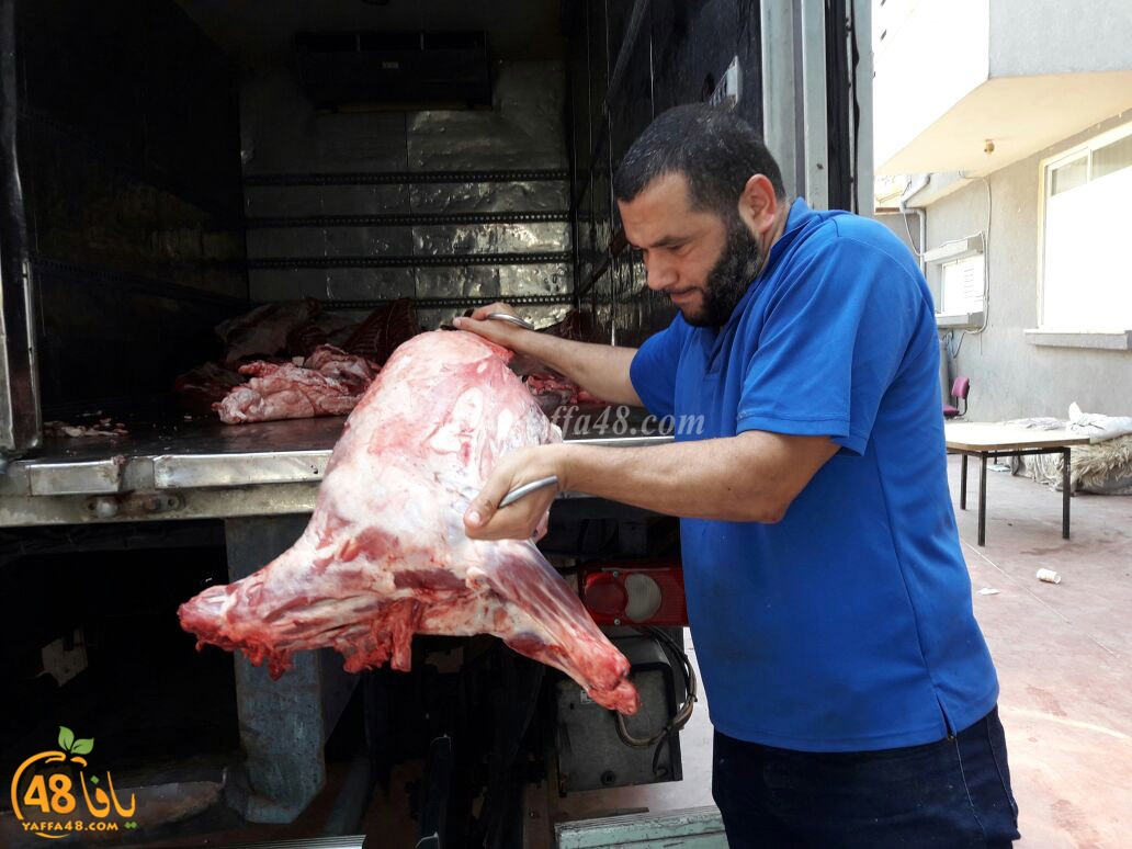 jam3o7sayasa (12).jpg